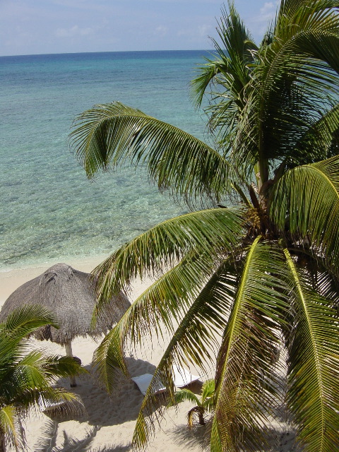 Akumal, view from our condo